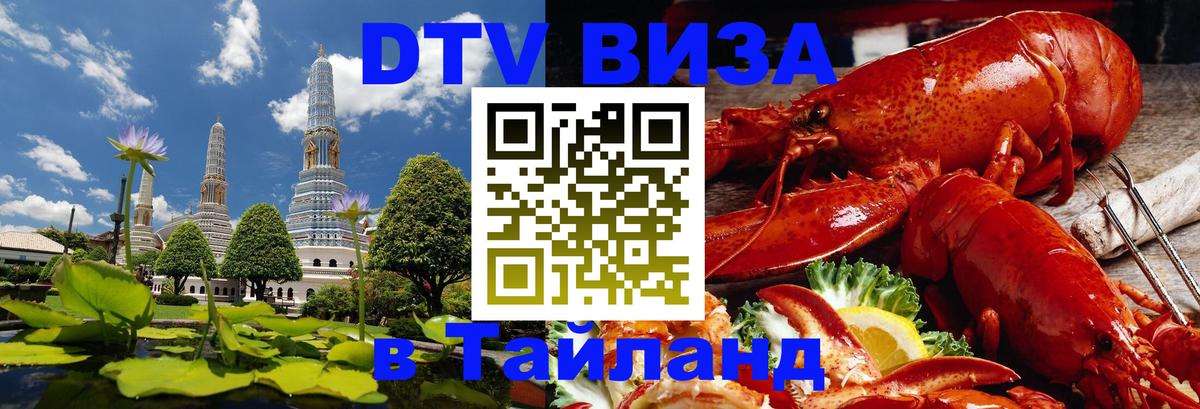 Сколько стоит DTV виза — актуальные цены, оформление даже без документов - Сана  11.12.2025 